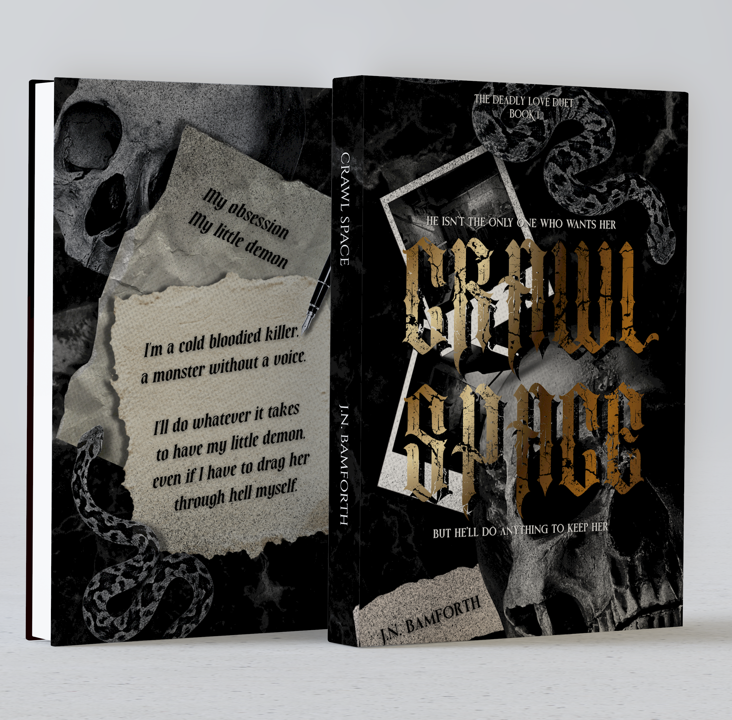 Crawl Space by J.N.Bamforth new cover